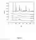 Fig. 02 - Porous calcium phosphate bone material