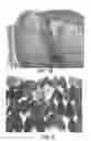 Fig. 09 - PROCESSING COCOA BEANS AND OTHER SEEDS