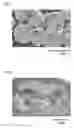 Fig. 06 - ACTIVE MATERIAL PARTICLES AND USE OF SAME