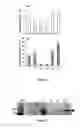 Fig. 02 - Compositions and Methods for Enhancing Lipid Production in Marine Microalgae