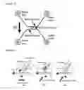 Fig. 02 - METHOD AND DEVICE FOR DNA SEQUENCE ANALYSIS USING MULTIPLE PNA