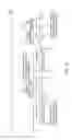 Fig. 08 - Single-radio device supporting coexistence between multiple radio access technologies