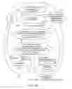 Fig. 10 - Single-radio device supporting coexistence between multiple radio access technologies