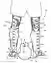 Fig. 01 - Soccer training device