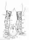 Fig. 05 - Soccer training device