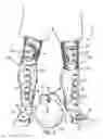 Fig. 06 - Soccer training device