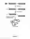 Fig. 04 - COMPOSITIONS AND METHODS FOR THE RAPID BIOSYNTHESIS AND IN VIVO SCREENING OF BIOLOGICALLY RELEVANT PEPTIDES