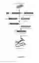 Fig. 13 - COMPOSITIONS AND METHODS FOR THE RAPID BIOSYNTHESIS AND IN VIVO SCREENING OF BIOLOGICALLY RELEVANT PEPTIDES