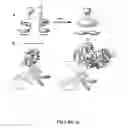 Fig. 17 - COMPOSITIONS AND METHODS FOR THE RAPID BIOSYNTHESIS AND IN VIVO SCREENING OF BIOLOGICALLY RELEVANT PEPTIDES