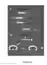 Fig. 20 - COMPOSITIONS AND METHODS FOR THE RAPID BIOSYNTHESIS AND IN VIVO SCREENING OF BIOLOGICALLY RELEVANT PEPTIDES
