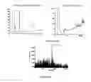 Fig. 27 - COMPOSITIONS AND METHODS FOR THE RAPID BIOSYNTHESIS AND IN VIVO SCREENING OF BIOLOGICALLY RELEVANT PEPTIDES