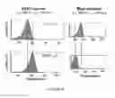 Fig. 35 - COMPOSITIONS AND METHODS FOR THE RAPID BIOSYNTHESIS AND IN VIVO SCREENING OF BIOLOGICALLY RELEVANT PEPTIDES