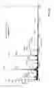 Fig. 08 - PEPTIDE PRODRUGS