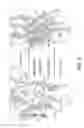 Fig. 15 - PEPTIDE PRODRUGS
