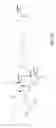 Fig. 16 - PEPTIDE PRODRUGS