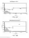 Fig. 31 - PEPTIDE PRODRUGS