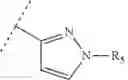 Fig. 48 - Isoindolinone derivatives