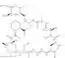 Fig. 02 - Treatment of solid tumors with rapamycin derivatives
