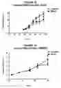 Fig. 09 - 1-(5-tert-butyl-2-phenyl-2H-pyrazol-3-yl)-3-[2-fluoro-4-(1-methyl-2-oxo-2,3-dihydro-1H-imidazo[4,5-B]pyridin-7-yloxy)-phenyl]-urea and related compounds and their use in therapy