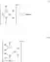 Fig. 08 - Air and water tolerant catalyst