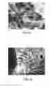 Fig. 07 - Biodegradable hyaluronic acid derivative