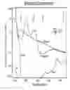 Fig. 48 - METHOD AND APPARATUS TO DETECT CORONARY ARTERY CALCIFICATION OR DISEASE