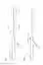 Fig. 02 - Intravascular access catheter