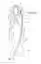Fig. 07 - Intravascular access catheter
