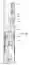 Fig. 56 - Suturing devices and methods for closing a patent foramen ovale