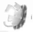 Fig. 02 - Craniotomy Plugs