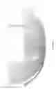 Fig. 06 - Craniotomy Plugs