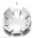 Fig. 07 - Craniotomy Plugs