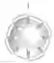 Fig. 08 - Craniotomy Plugs