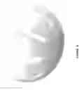 Fig. 09 - Craniotomy Plugs