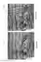 Fig. 05 - LINE AND EDGE DETECTION AND ENHANCEMENT