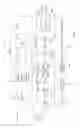 Fig. 09 - Method and Apparatus for Registering Closed and Open Loop Prepaid Gift Cards and Other Prepaid Card Products