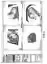 Fig. 06 - User interface for providing clinical applications and associated data sets based on image data