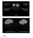 Fig. 06 - PROTEIN EXPRESSION SYSTEMS