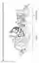 Fig. 02 - Chimeric endonucleases and uses thereof