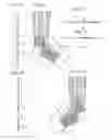 Fig. 08 - FOOT WEAR
