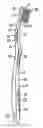 Fig. 01 - Oral hygiene device, particularly a toothbrush, and method for the production thereof