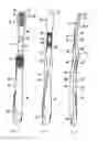 Fig. 02 - Oral hygiene device, particularly a toothbrush, and method for the production thereof