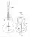 Fig. 02 - String music instrument and sound board