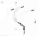 Fig. 02 - FLEXIBLE SHOWER ARM