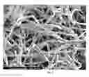 Fig. 02 - Sintered fiber filter