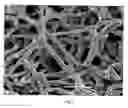 Fig. 04 - Sintered fiber filter
