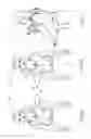 Fig. 04 - BABY CARRIER