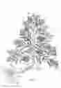 Fig. 09 - Systems and methods of artificial snow dispersal