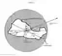 Fig. 02 - Stabilization of unstable space debris