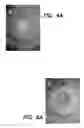 Fig. 06 - METHOD AND APPARATUS FOR PROVIDING BEAMS OF NANODROPLETS FOR HIGH SPUTTERING RATE OF INERT MATERIALS
